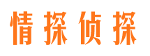 光山婚外情调查取证